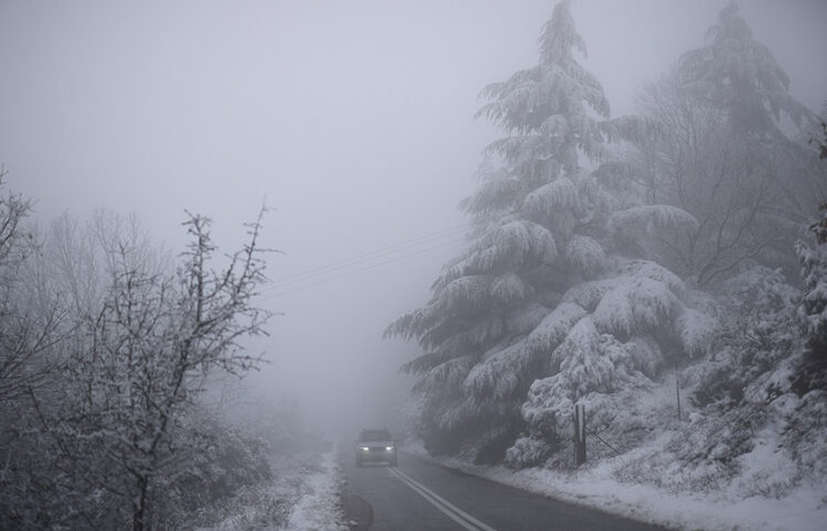 Λευκό τοπίο στο βουνό του Χορτιάτη (φωτ.: ΑΠΕ-ΜΠΕ / Δημήτρης Τοσίδης)
