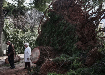 Πτώσεις δέντρων και ζημιές στη Φιλοθέη από το μπουρίνι που χτύπησε την Αττική τα ξημερώματα (φωτ.: EUROKINISSI / Κώστας Τζούμας)