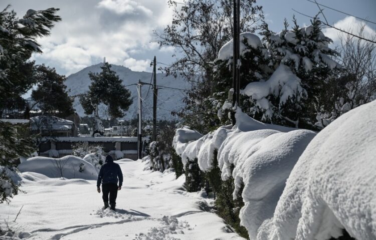 Χιόνια στο Διόνυσο της Αττικής το 2023 (φωτ. αρχείου: EUROKINISSI/Μιχάλης Καραγιάννης)