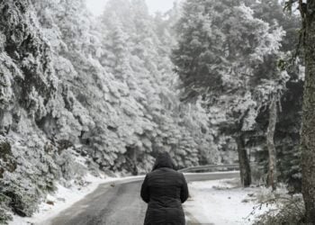 Χιονισμένη περιοχή της Πάρνηθας το περασμένο σαββατοκύριακο (φωτ.: EUROKINISSI/Μιχάλης Καραγιάννης)