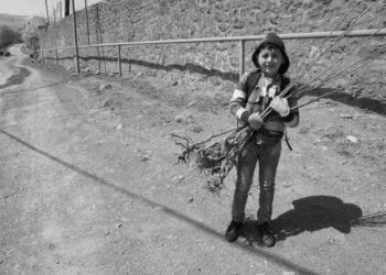 Μικρός Αρμένιος στο χωριό Βαγατούρ, στο Σιουνίκ παίρνει οπωροφόρα δέντρα για το σπίτι της οικογένειάς του (φωτ.: Armenia Tree Project)
