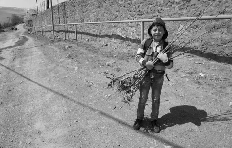 Μικρός Αρμένιος στο χωριό Βαγατούρ, στο Σιουνίκ παίρνει οπωροφόρα δέντρα για το σπίτι της οικογένειάς του (φωτ.: Armenia Tree Project)