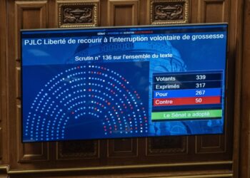 Οθόνη στο γαλλικό κοινοβούλιο δείχνει την κατανομή των ψήφων, 267 υπέρ και 50 κατά (φωτ.: EPA/Christophe Petit Tesson)