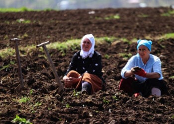 Ένα διάλειμμα από τις αγροτικές εργασίες (φωτ.: TRT Haber)