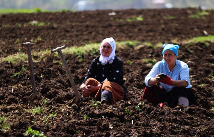 Ένα διάλειμμα από τις αγροτικές εργασίες (φωτ.: TRT Haber)