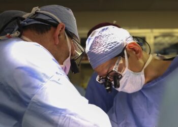 Ο δρ Nahel Elias (αρ.) και ο δρ Tatsuo Kawai ενώ κάνουν τη μεταμόσχευση του γενετικά τροποποιημένου νεφρού χοίρου στον Ρικ Σλέιμαν (φωτ.: Michelle Rose/   Massachusetts General Hospital)