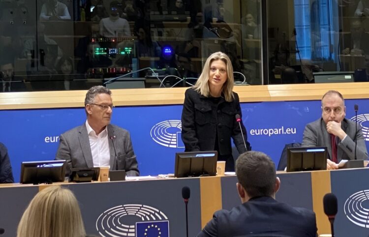 Η Μαρία Καρυστιανού στην προηγούμενη ομιλία της στο ευρωκοινοβούλιο (φωτ.: Χ/ElenaKountoura)