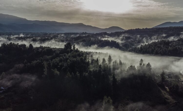 Ομίχλη στη νότια Εύβοια (φωτ.: EUROKINISSI/Αντώνης Λάμπρου)