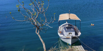 Βάρκα δεμένη σε δέντρο στην περιοχή του Ναυπλίου (φωτ.: ΑΠΕ-ΜΠΕ / Ευάγγελος Μπουγιώτης)