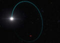 Καλλιτεχνική απεικόνιση που δείχνει τις τροχιές τόσο του άστρου (με μπλε) όσο και της μαύρης τρύπας (με κόκκινο) γύρω από το κοινό κέντρο μάζας τους (πηγή: ESO / L. Calcada)