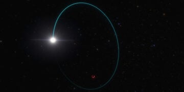Καλλιτεχνική απεικόνιση που δείχνει τις τροχιές τόσο του άστρου (με μπλε) όσο και της μαύρης τρύπας (με κόκκινο) γύρω από το κοινό κέντρο μάζας τους (πηγή: ESO / L. Calcada)