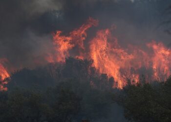 Η φωτιά στον Έβρο χαρακτηρίστηκε ως η χειρότερη των τελευταίων δεκαετιών (φωτ.: ΜΟΤΙΟΝΤΕΑΜ/Βασίλης Βερβερίδης)
