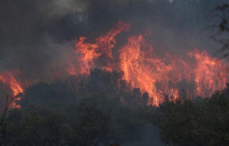 Η φωτιά στον Έβρο χαρακτηρίστηκε ως η χειρότερη των τελευταίων δεκαετιών (φωτ.: ΜΟΤΙΟΝΤΕΑΜ/Βασίλης Βερβερίδης)