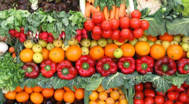 Δεν χαλαρώνει το εμπάργκο για την Ελλάδα η Ρωσία