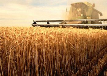 Τα 9 επαγγέλματα που φέρνουν πολλά χρήματα και δεν χρειάζονται πανεπιστημιακό πτυχίο