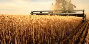 Τα 9 επαγγέλματα που φέρνουν πολλά χρήματα και δεν χρειάζονται πανεπιστημιακό πτυχίο