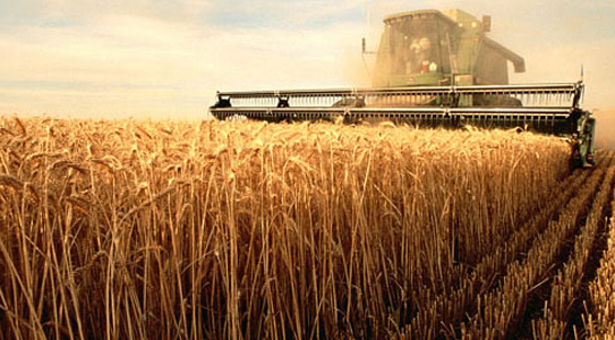 Τα 9 επαγγέλματα που φέρνουν πολλά χρήματα και δεν χρειάζονται πανεπιστημιακό πτυχίο