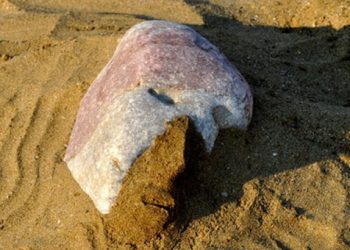 Προσπάθησαν να θάψουν ζωντανό στην άμμο ένα ζητιάνο