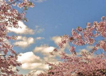 Ο καιρός το τριήμερο της 25ης Μαρτίου 2013