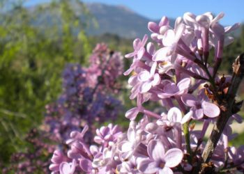 Ο καιρός το Πάσχα στον Πόντο