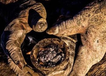 Δείτε πώς είναι ο άνθρωπος που έχει 60 χρόνια να πλυθεί