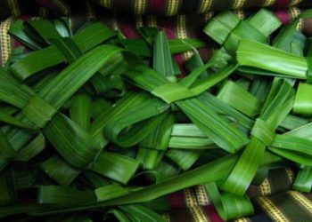 Έθιμα και παραδόσεις της Κυριακής των Βαΐων