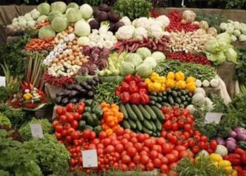 Δεν χαλαρώνει το εμπάργκο για την Ελλάδα η Ρωσία