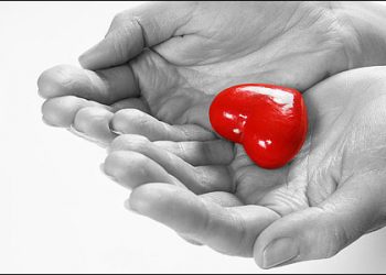 Η Κρήτη πρωταθλήτρια στη δωρεά οργάνων