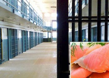 Κλείνει η πτέρυγα VIP του Κορυδαλλού