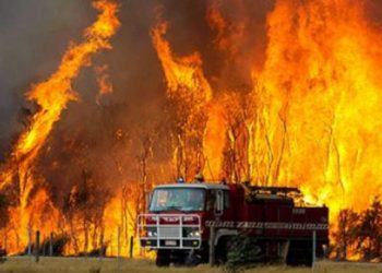 Υπό μερικό έλεγχο η πυρκαγιά στη Μικροκώμη του Δήμου Βόλβης 3