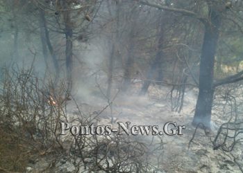 Πυρκαγιά σε δασική περιοχή στην Βαρυμπόμπη! Δείτε εικόνες