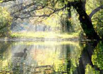 Ο αγροτουρισμός διέξοδο στην ανεργία