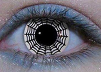 Γυναίκα - αράχνη στο facebook