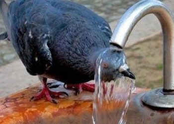 Στο κόκκινο το θερμόμετρο σήμερα