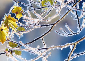 Μαλακώνει κάπως ο καιρός σήμερα, επιμένει ο παγετός