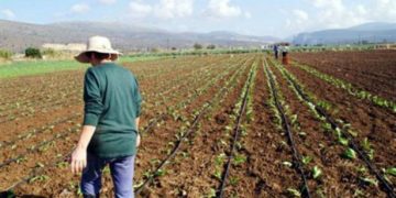 «Μοντέρνες» καλλιέργειες για ανήσυχους νέους αγρότες