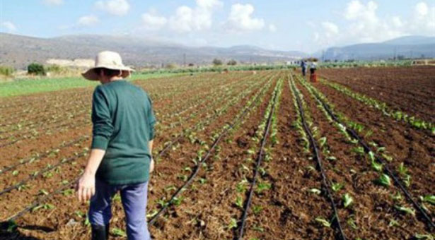 «Μοντέρνες» καλλιέργειες για ανήσυχους νέους αγρότες