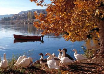 Το αρχαιότερο κείμενο βρέθηκε στην λίμνη της Καστοριάς