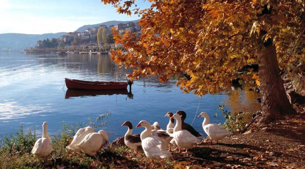 Το αρχαιότερο κείμενο βρέθηκε στην λίμνη της Καστοριάς