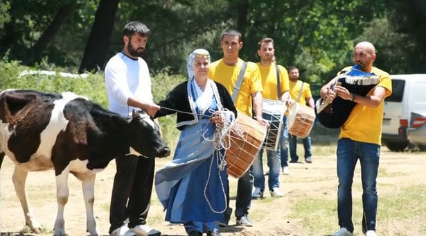 6ο Λάλεμαν της Παρχαρομάνας 2014 στο Κατσιμίδι