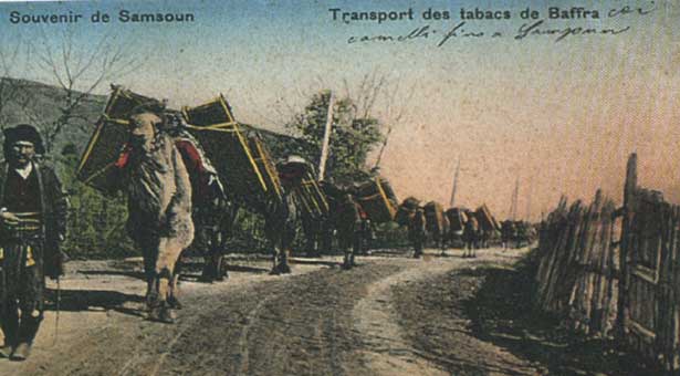 Πάφρα - Cover Image