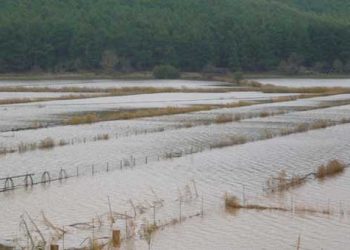 Λέσβος: Η θεομηνία άφησε πίσω της την καταστροφή