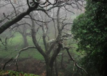 Ένα μαγικό χωριό της Ελλάδα κρυμμένος θησαυρός - Τι συμβαίνει εκεί που δεν συμβαίνει πουθενά αλλού στην Ελλάδα