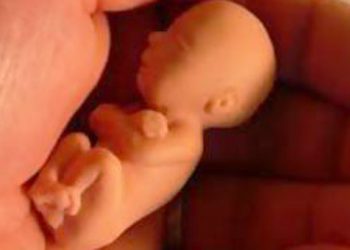 330 εκατ. εκτρώσεις στην Κίνα