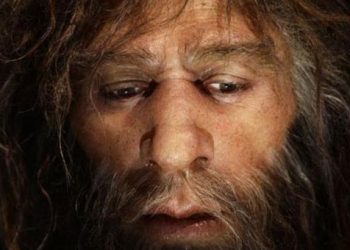 O Νεάντερταλ ζούσε στην Μάνη!