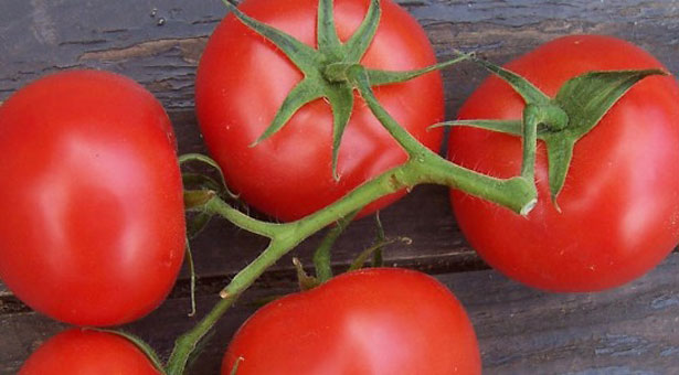 5+1 τρόποι για να έχουμε ντομάτες όλο το χρόνο