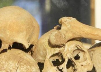 Το μυστήριο με τους σκελετούς στη Γαύδο