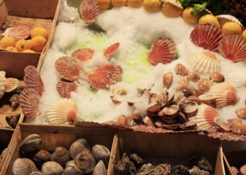 99 σάκκοι με επικίνδυνα όστρακα θα έφθαναν στα πιάτα μας