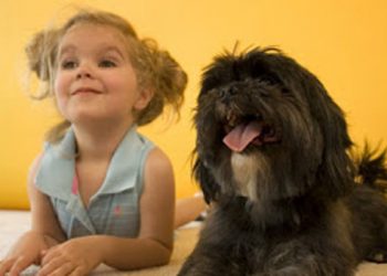 Σκύλος έσωσε 3χρονο κοριτσάκι