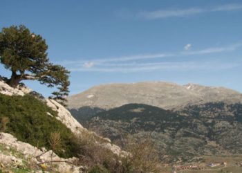 Θρίλερ: Αυτοκίνητο πρώην υπουργού γεμάτο πυρομαχικά και όπλα